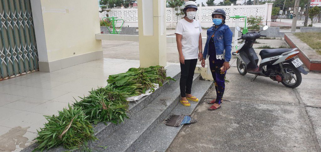 D:1 LÊ VĨNH LÂMNăm 2022Hình ảnh, tin bàiTHPT LK vườn rau tiếp bước em đến trườngz3113141100681_06e72b4a747d1549f36d1060a011c3f7.jpg