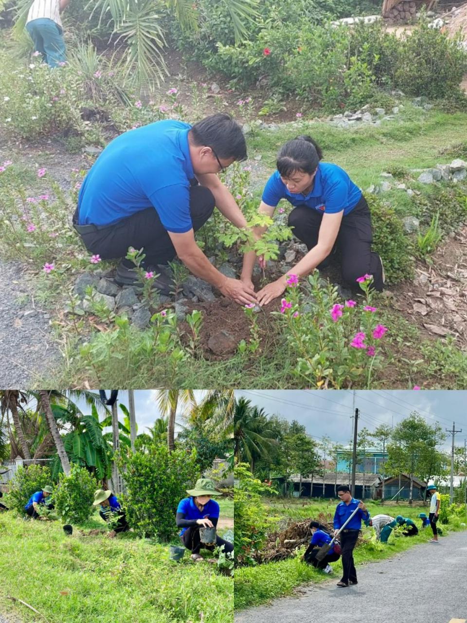 A collage of people planting a tree Description automatically generated