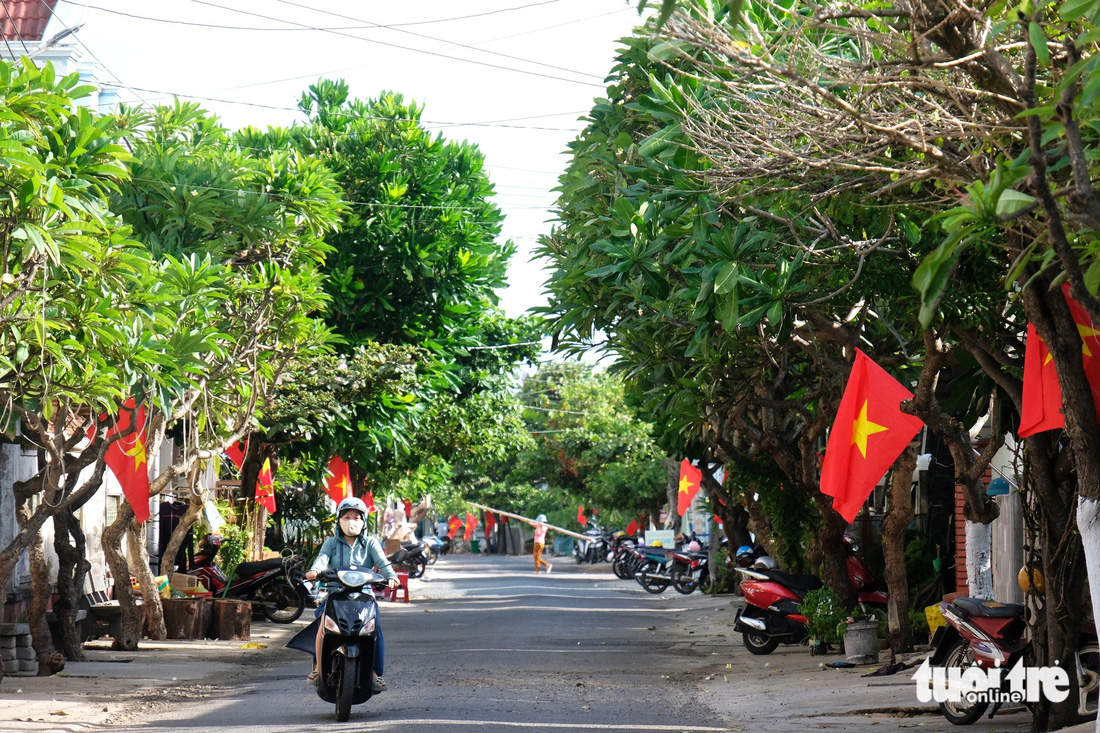 Những công trình tình nguyện giữ màu xanh trên đảo Phú Quý- Ảnh 1.