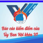 BÁO CÁO KIỂM ĐIỂM CỦA ỦY BAN HỘI LHTN VIỆT NAM TỈNH TRÀ VINH KHÓA VI, NHIỆM KỲ 2019 – 2024