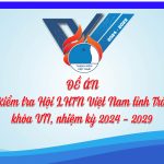 ĐỀ ÁN BAN KIỂM TRA HỘI LIÊN HIỆP THANH NIÊN VIỆT NAM TỈNH TRÀ VINH  KHÓA VII, NHIỆM KỲ 2024 – 2029