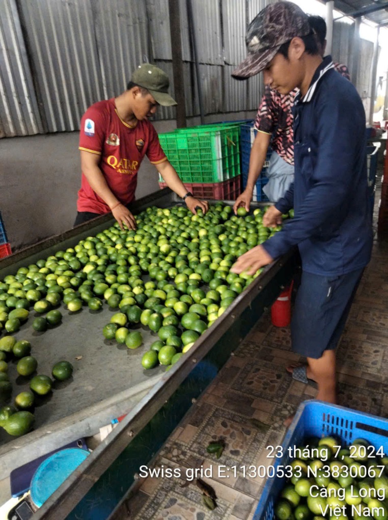 DUY TRÌ HIỆU QUẢ CÁC MÔ HÌNH  PHÁT TRIỂN KINH TẾ TRONG THANH NIÊN NĂM 2024